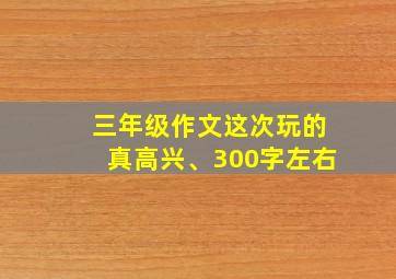 三年级作文这次玩的真高兴、300字左右