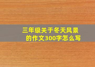 三年级关于冬天风景的作文300字怎么写