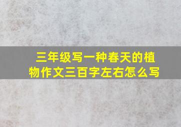 三年级写一种春天的植物作文三百字左右怎么写