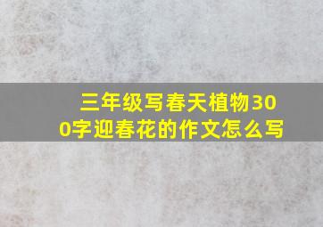 三年级写春天植物300字迎春花的作文怎么写