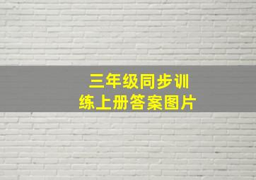 三年级同步训练上册答案图片