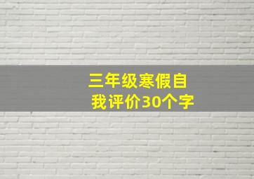 三年级寒假自我评价30个字