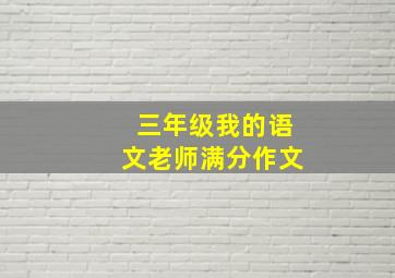 三年级我的语文老师满分作文