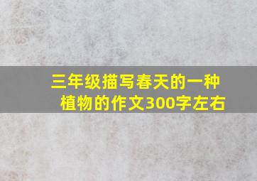 三年级描写春天的一种植物的作文300字左右