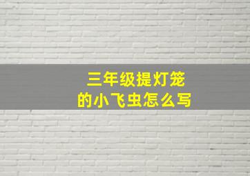 三年级提灯笼的小飞虫怎么写