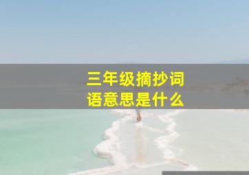 三年级摘抄词语意思是什么