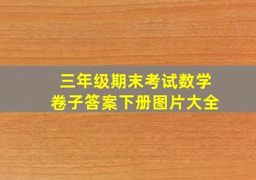 三年级期末考试数学卷子答案下册图片大全