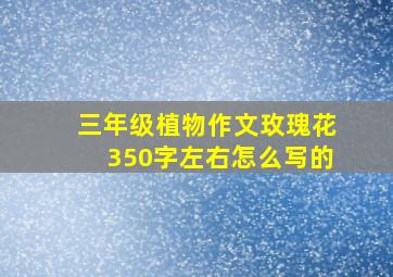 三年级植物作文玫瑰花350字左右怎么写的