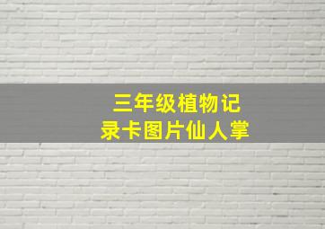 三年级植物记录卡图片仙人掌