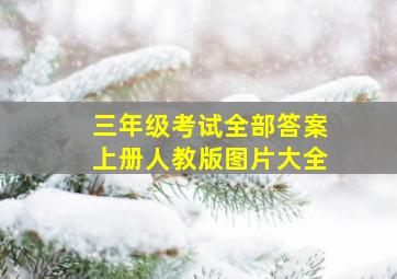 三年级考试全部答案上册人教版图片大全