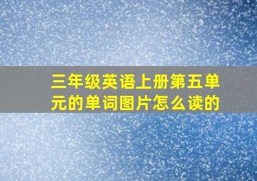 三年级英语上册第五单元的单词图片怎么读的