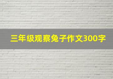 三年级观察兔子作文300字