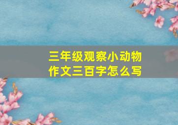 三年级观察小动物作文三百字怎么写