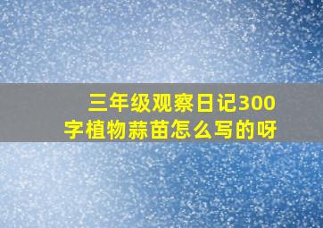 三年级观察日记300字植物蒜苗怎么写的呀