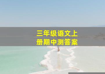 三年级语文上册期中测答案