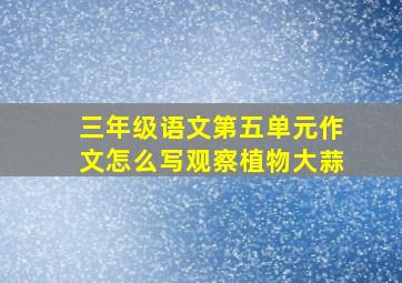 三年级语文第五单元作文怎么写观察植物大蒜