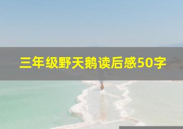 三年级野天鹅读后感50字