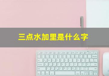 三点水加里是什么字