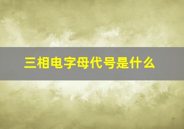 三相电字母代号是什么