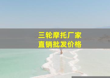 三轮摩托厂家直销批发价格