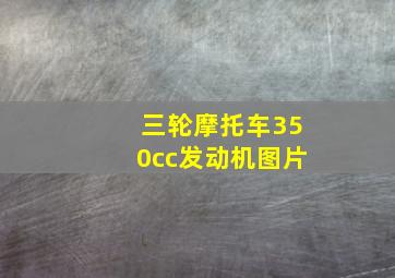 三轮摩托车350cc发动机图片