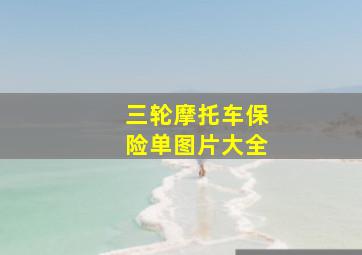 三轮摩托车保险单图片大全