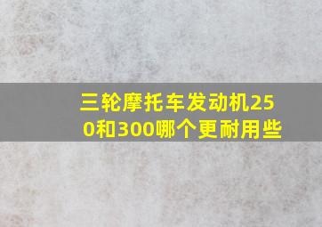 三轮摩托车发动机250和300哪个更耐用些