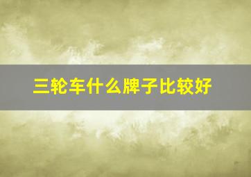 三轮车什么牌子比较好