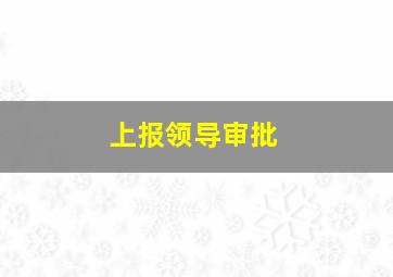 上报领导审批