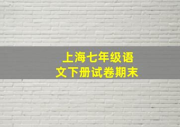 上海七年级语文下册试卷期末