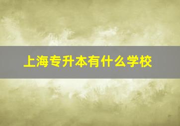 上海专升本有什么学校