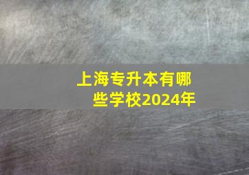 上海专升本有哪些学校2024年