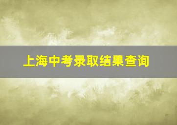 上海中考录取结果查询