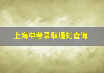 上海中考录取通知查询