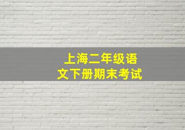 上海二年级语文下册期末考试