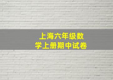 上海六年级数学上册期中试卷