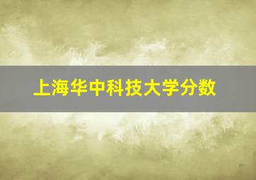 上海华中科技大学分数