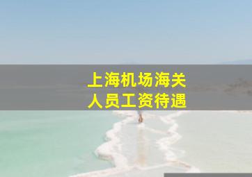 上海机场海关人员工资待遇