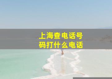 上海查电话号码打什么电话