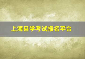 上海自学考试报名平台