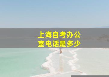 上海自考办公室电话是多少