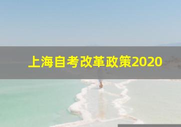 上海自考改革政策2020