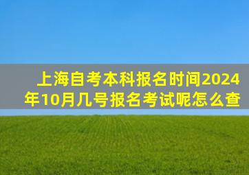 上海自考本科报名时间2024年10月几号报名考试呢怎么查