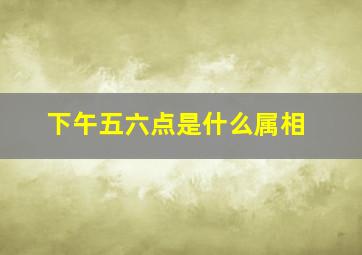 下午五六点是什么属相