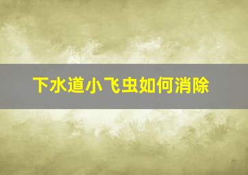 下水道小飞虫如何消除