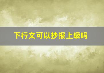 下行文可以抄报上级吗