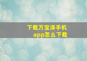 下载万宝泽手机app怎么下载