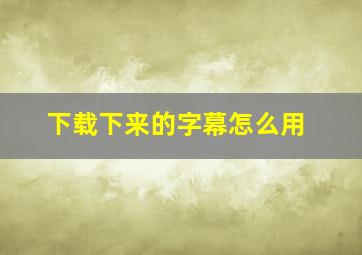 下载下来的字幕怎么用