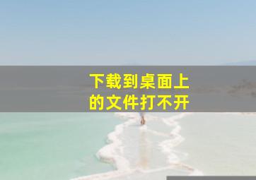 下载到桌面上的文件打不开