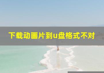 下载动画片到u盘格式不对